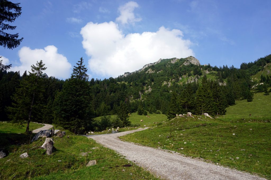 Foto di un sentiero in montagna nelle Alpi Bavaresi.