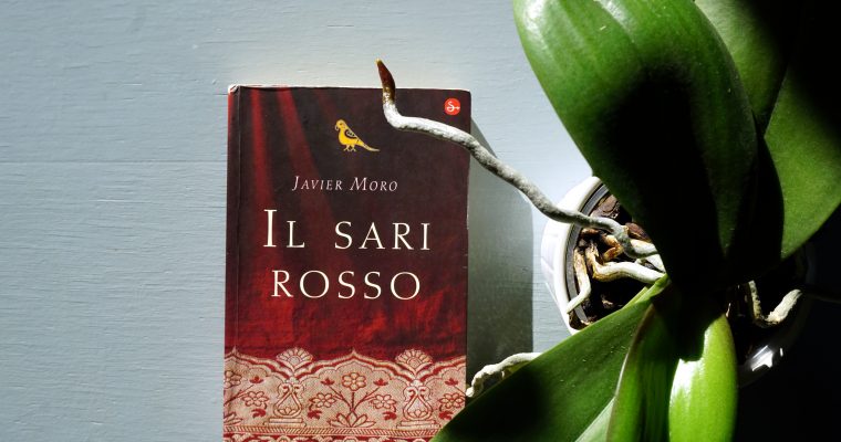 Il sari rosso - Javier Moro - Recensione Libro