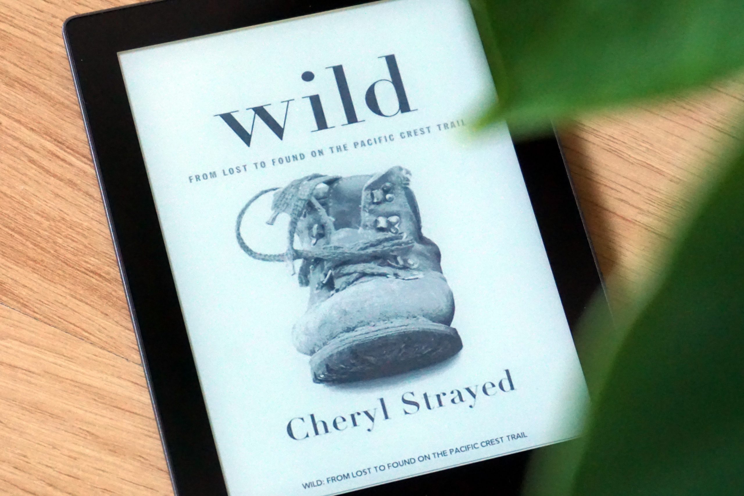 Wild – Cheryl Strayed – Recensione