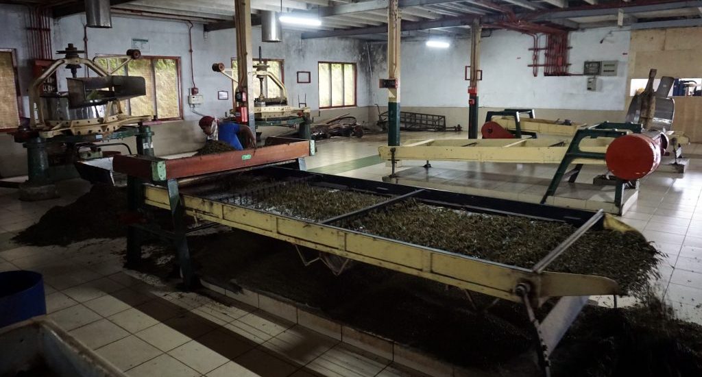 Foto di una fabbrica di tè in Sri Lanka.