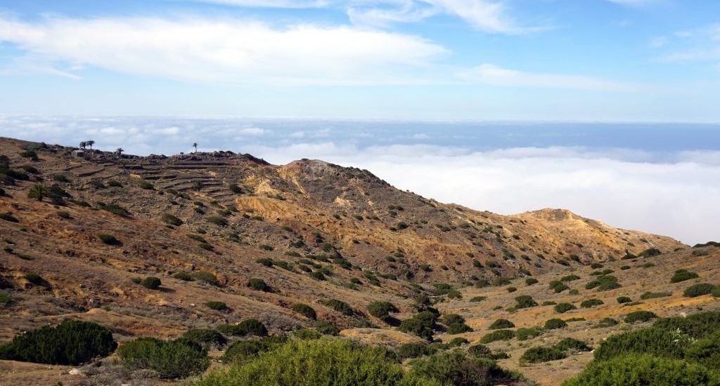 Foto di un paesaggio arido e cespuglioso a La Gomera.