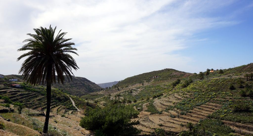 Foto di un paesaggio terrazzato a La Gomera.