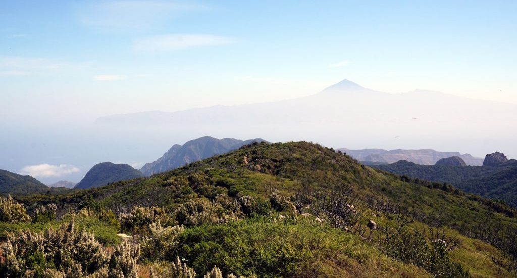 Foto del panorama con il Teide visto dall'Alto del Garajonay, La Gomera.