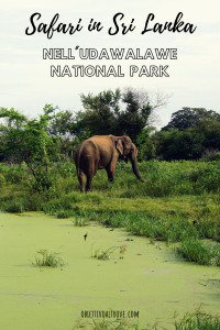 Sri Lanka – Safari nell’Udawalawe National Park
