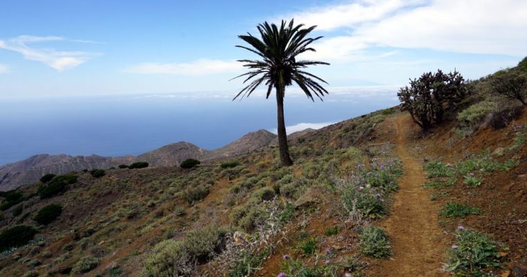 Scoprire La Gomera a piedi: Trekking di 5 giorni
