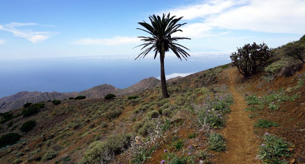 Scoprire La Gomera a piedi: Trekking di 5 giorni