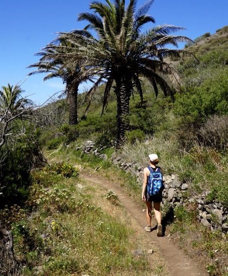 Foto di un sentiero da trekking a La Gomera, Canarie.
