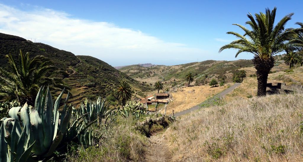 Foto di un paesaggio con un sentiero e una palma a La Gomera.