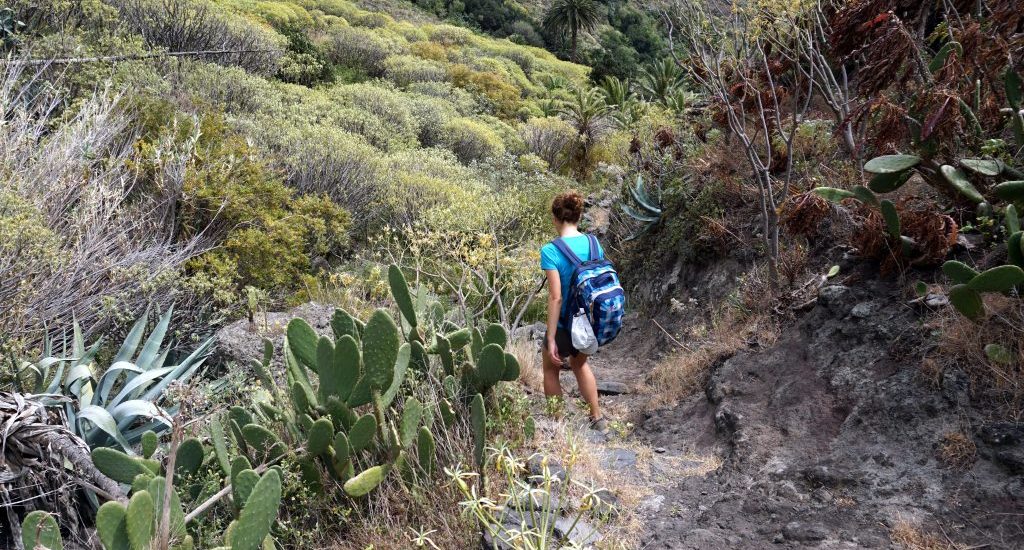 Foto di un sentiero per fare trekking a La Gomera.