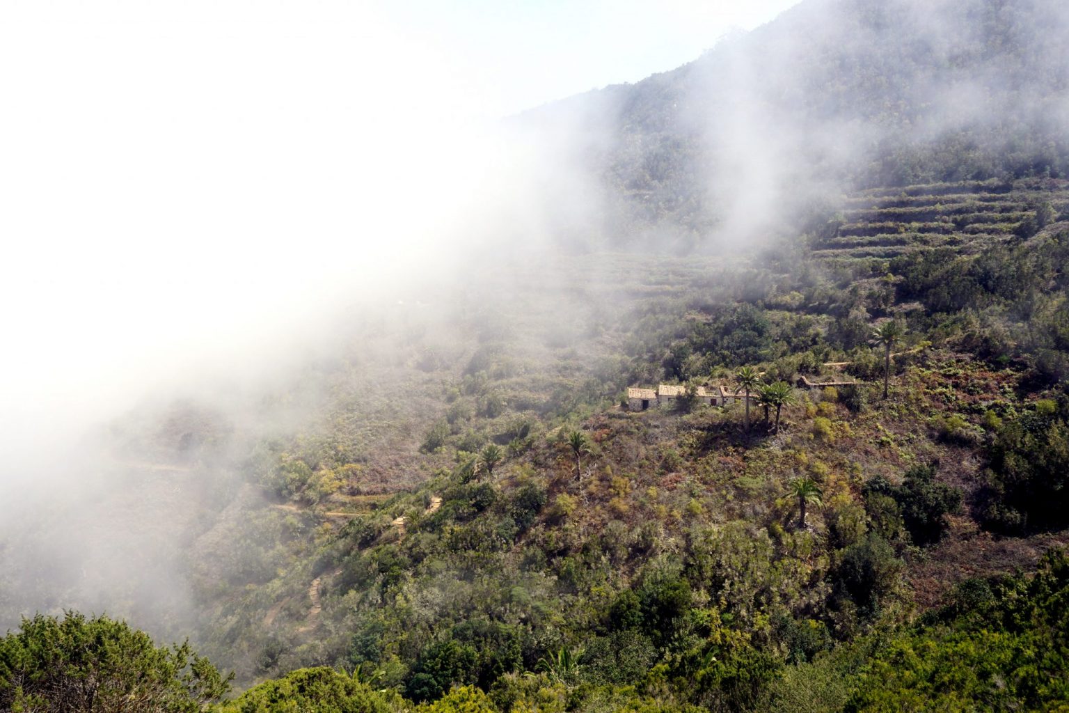 4. tappa del trekking a La Gomera: Vallehermoso – Hermigua