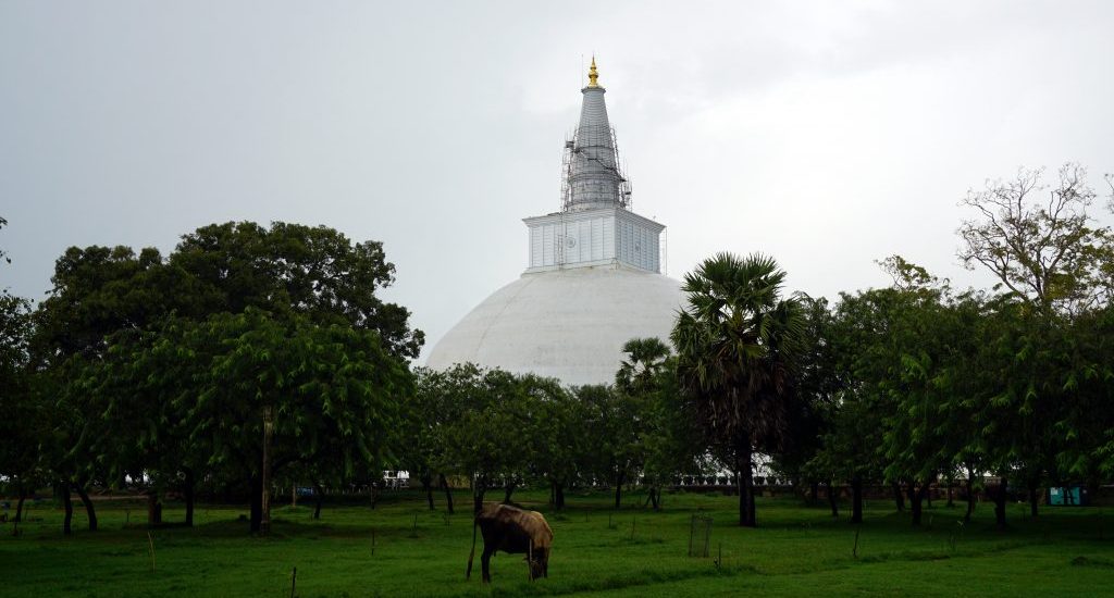 Foto della più grande dagoba in Sri Lanka ad Anuradhapura.