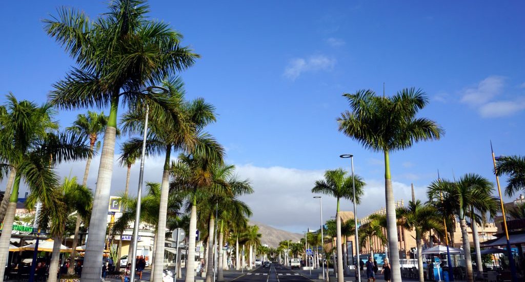 Fotografia di Los Cristianos, Tenerife.