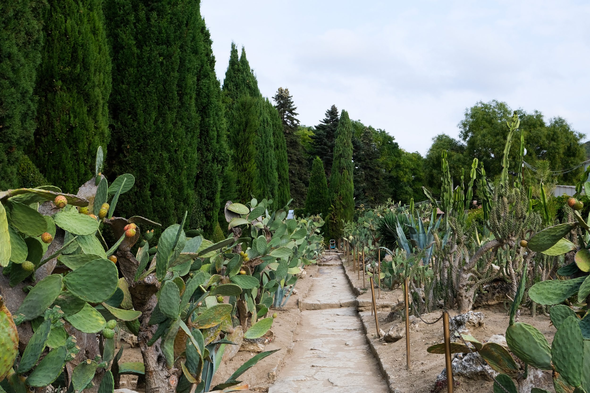 Giardino botanico a Balchik