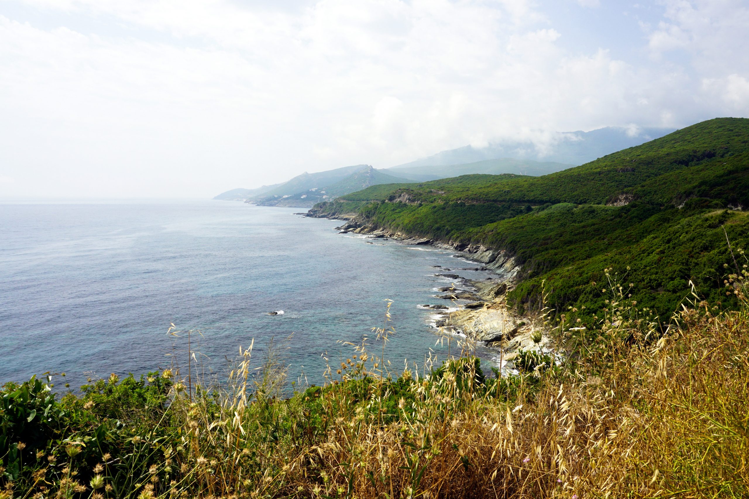 Visitare Cape Corse in un giorno