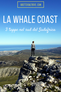3 tappe nel sud del Sudafrica - La Whale Coast