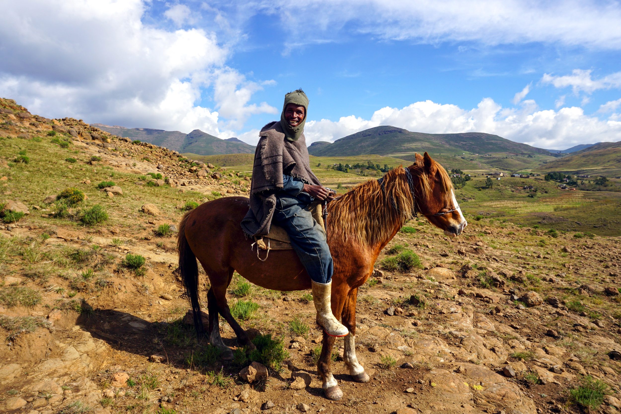 Basotho cavallo Lesotho