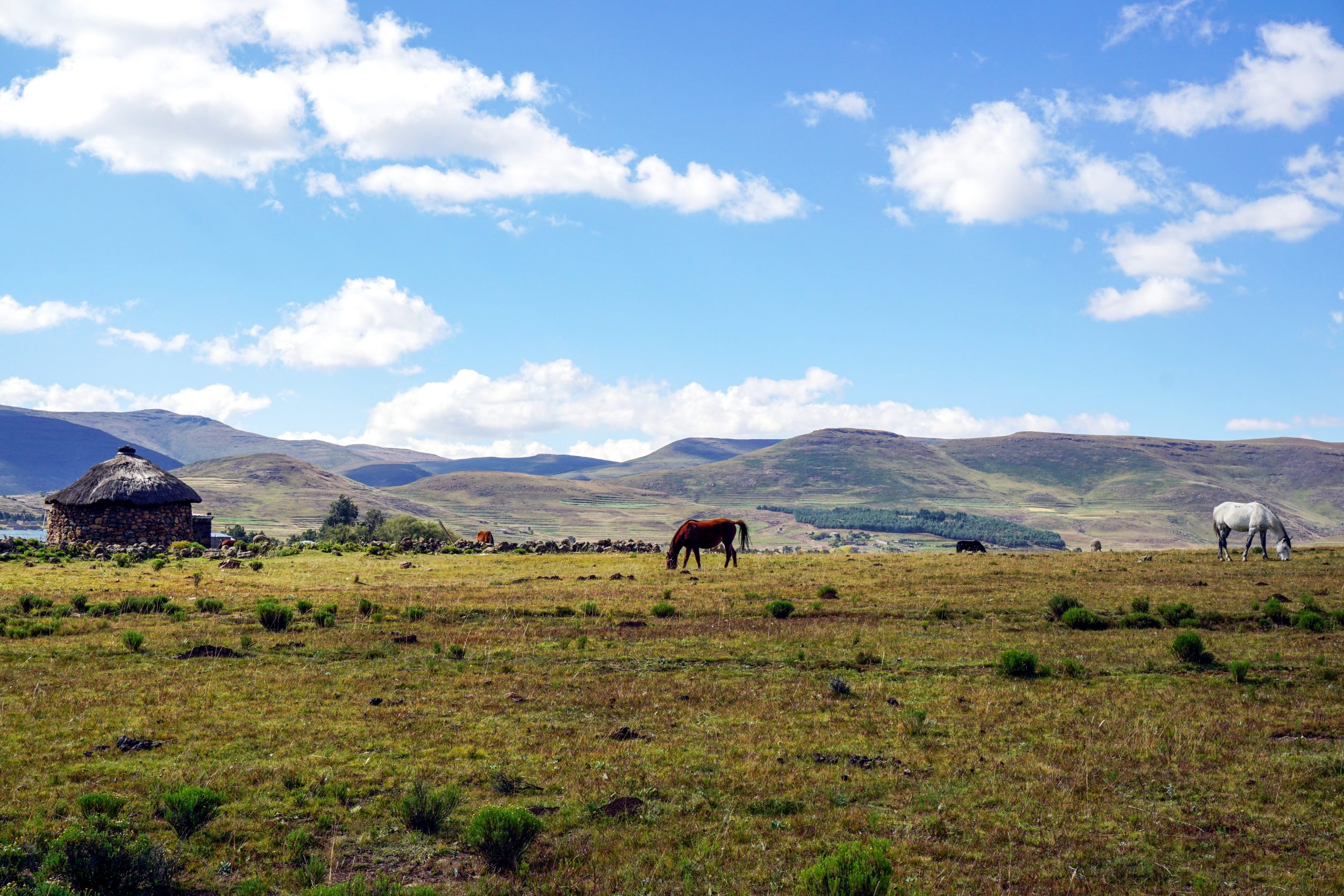 Paesaggio Lesotho