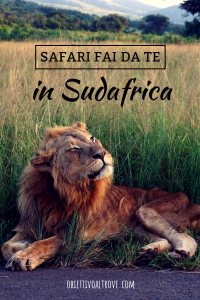 Safari fai da te in Sudafrica