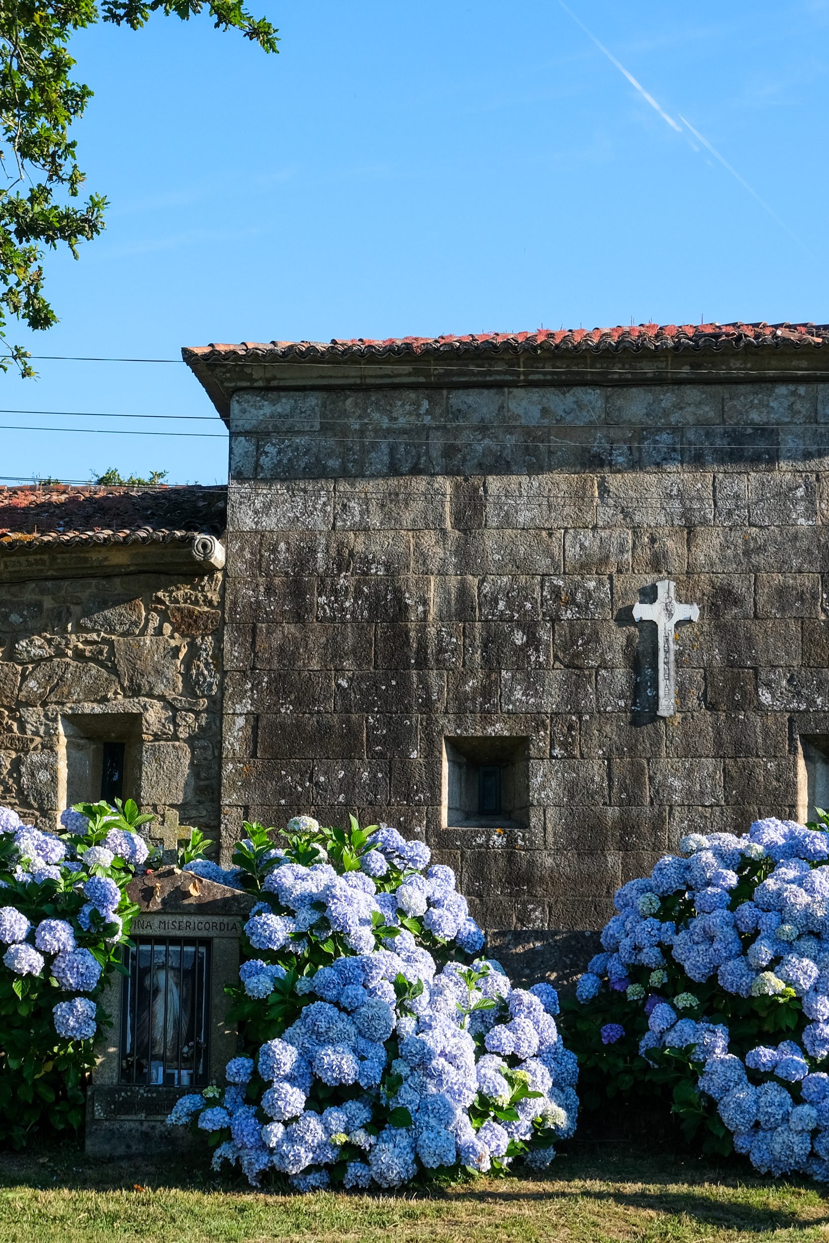 Chiesa e ortensie