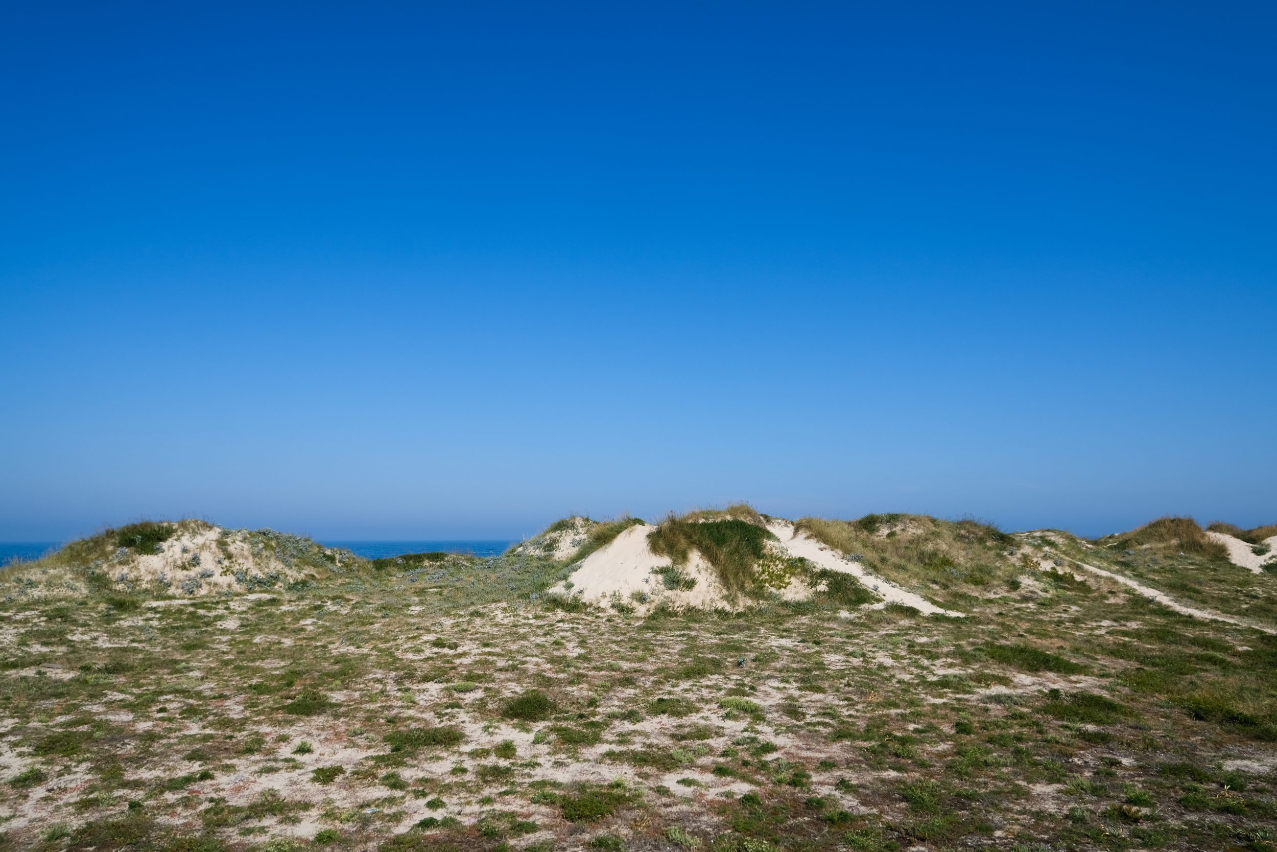 Dune sabbiose Portogallo