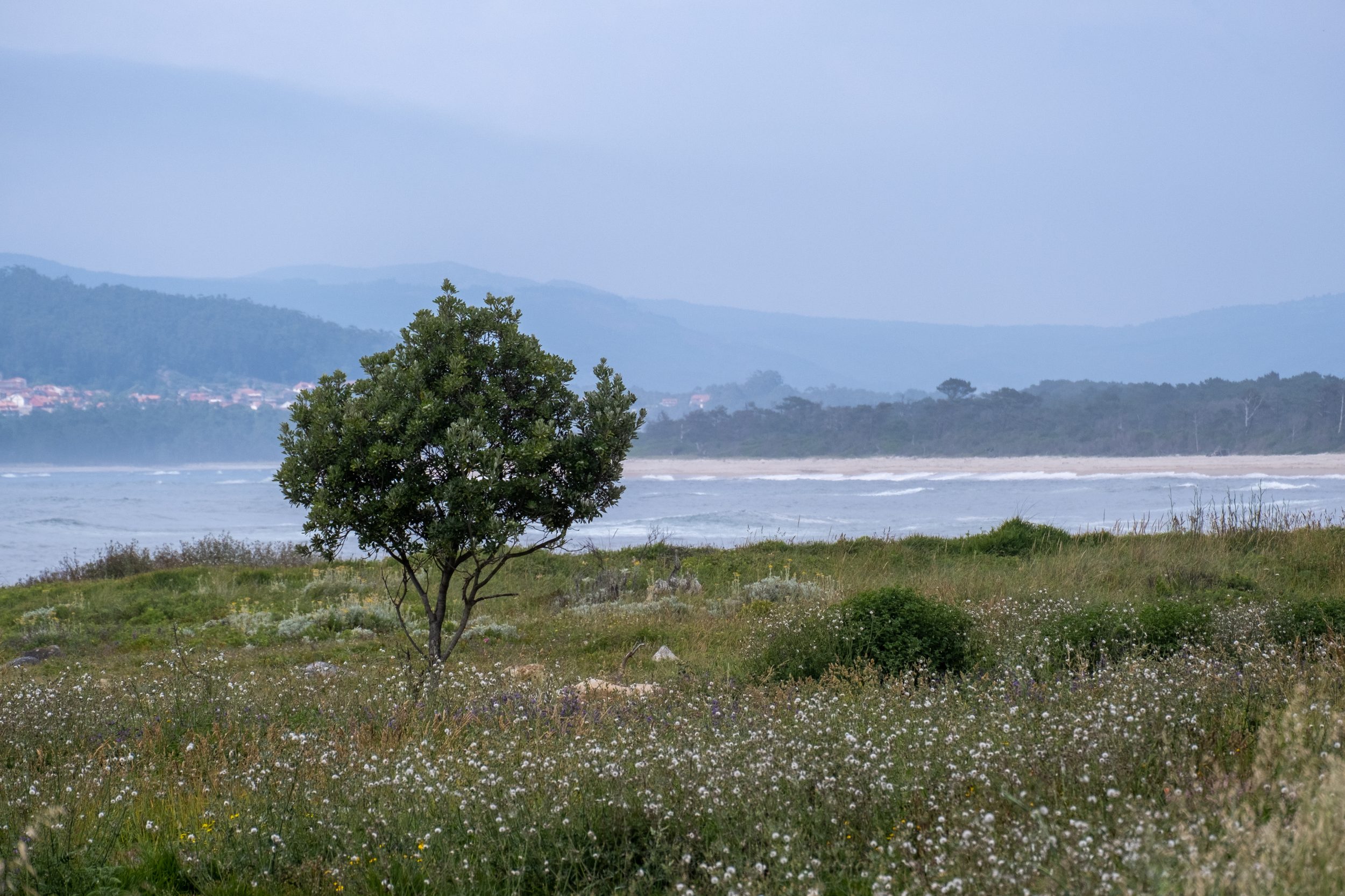 Ecovia Litoral Norte Portogallo