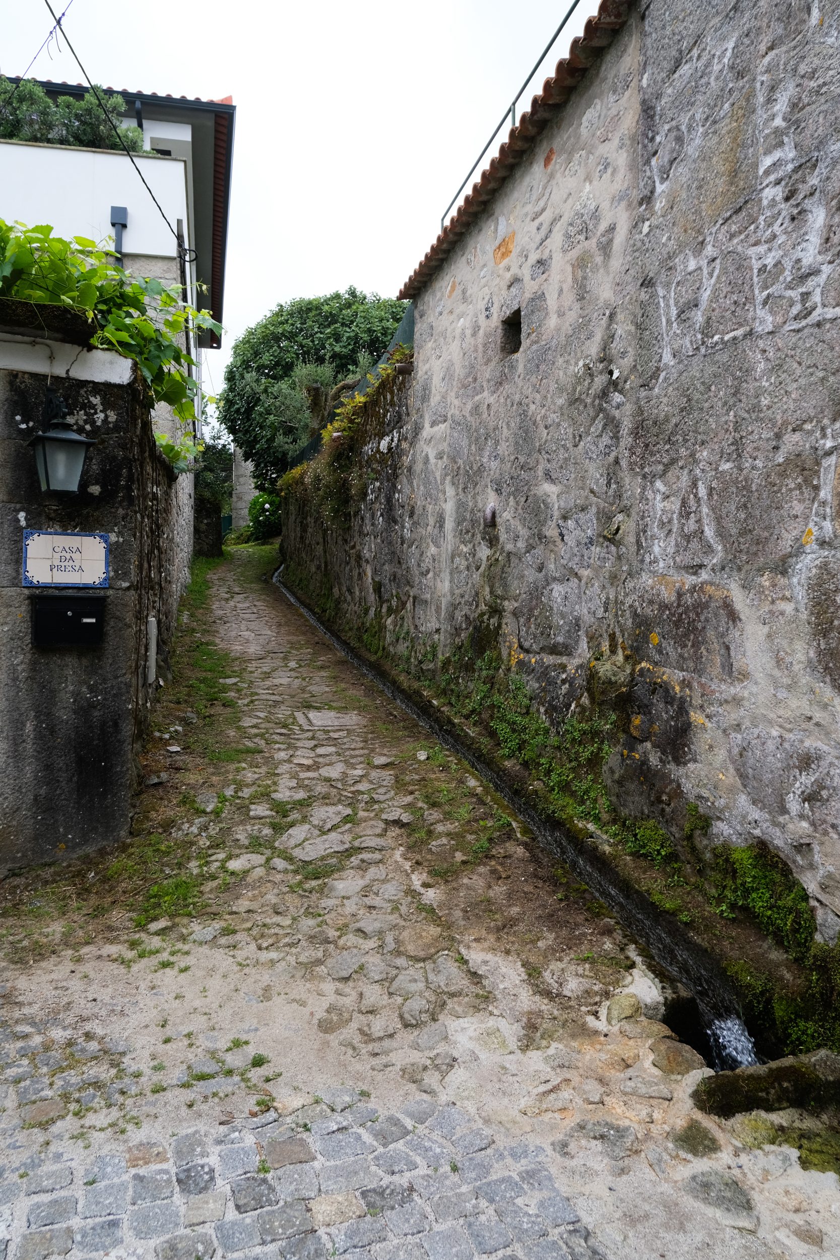 Sentiero lastricato cammino portoghese